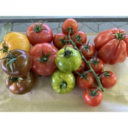 Assortiment de Tomates