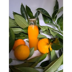 Jus d' orange frais 0.5 Litre