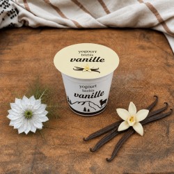 Yogourt au lait de brebis Vanille