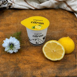Yogourt au lait de vache Citron