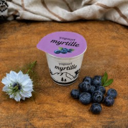 Yogourt au lait de vache Myrtille