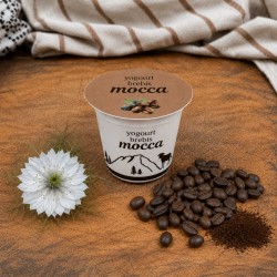 Yogourt au lait de brebis Mocca