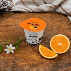 Yogourt au lait de vache Orange