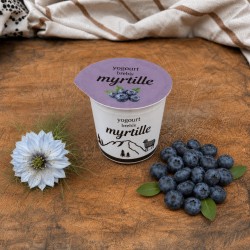 Yogourt au lait de brebis Myrtille