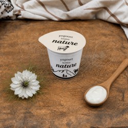 Yogourt au lait de brebis Nature