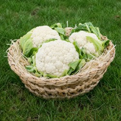 Chou-fleur