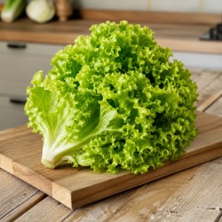Salade Batavia verte