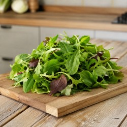 Saladine Mesclun doux