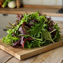 Saladine Mesclun fort